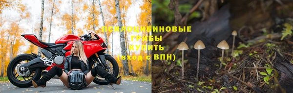 кокс Арсеньев
