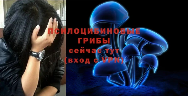 кокс Арсеньев